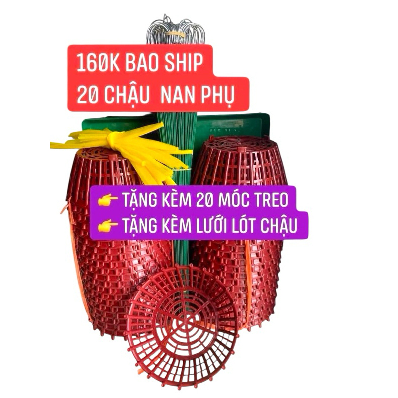 combo 20 chậu nan phụ F20-20 moc 70-20 lưới lót chậu