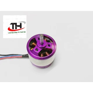 Động cơ  brushless không chổi than Trục 2.3 Dài 11mm XXD A 2010 - 3900kv