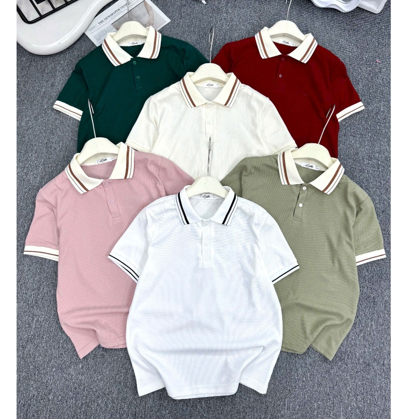 Áo Polo Nữ  Trơn + Lista + from babytee +Big size từ S-3xl basicc dễ mặc phối đồ .M9 | BigBuy360 - bigbuy360.vn