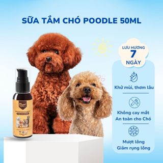 Sữa tắm cho Chó Poodle MasterCare 50ml - Thơm lâu, khử mùi hôi chó, mượt lông, không cay mắt