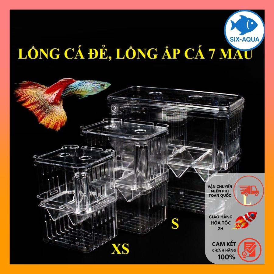 Lồng Đẻ Cho Cá Bảy Màu, Lồng Ấp, Lồng Tách | Dưỡng Cá Bệnh Làm Bằng Mica Trong Suốt Nhiều Kích Thước