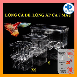 Lồng Đẻ Cho Cá Bảy Màu, Lồng Ấp, Lồng Tách | Dưỡng Cá Bệnh Làm Bằng Mica Trong Suốt Nhiều Kích Thước