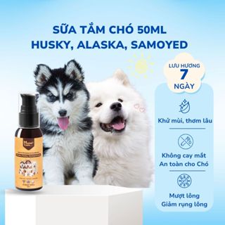 Sữa tắm Chó Alaska, Husky, Samoyed  thơm lâu, khử mùi hôi, mượt lông, không cay mắt MasterCare