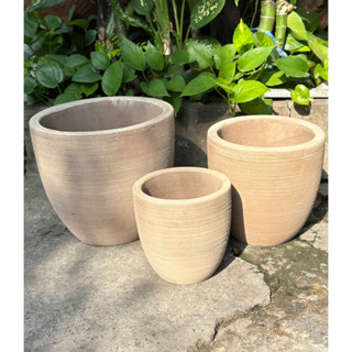 Chậu Xước Lớn - Chậu Đất Nung Giả Cổ Terracotta - Cánh Cam Garden - Decor Sân Vườn