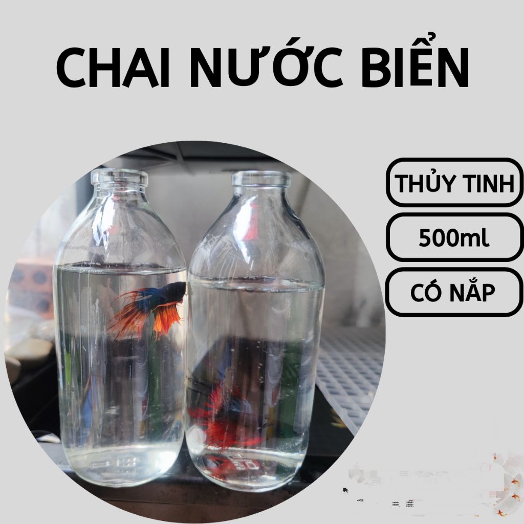 10 Chai nước biển nuôi cá Betta, cá lia thìa. Chai thủy tinh 500ml các loại để nuôi cá, trang trí Lọ