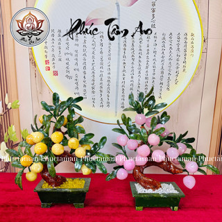 Cây đào phong thuỷ, Cây đào đá tài lộc phong thủy đặt ban thần tài, phòng khách.