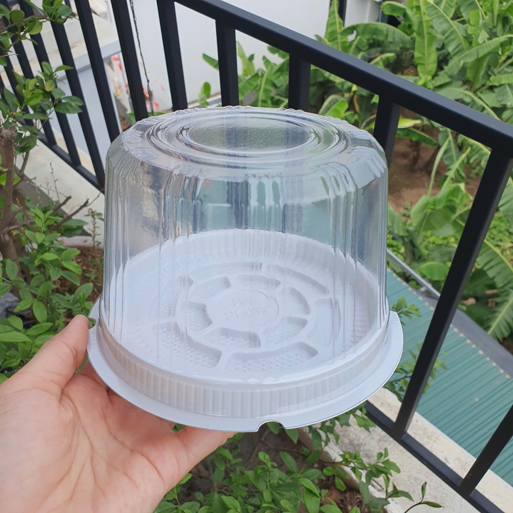 COMBO 50 Hộp A014 Đựng Bánh Kem Size 12cm, Bông Lan Trứng Muối, Bánh Kem Mini