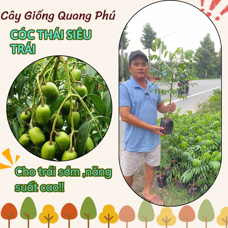CÓC THÁI ,SIÊU LÙN SIÊU QUẢ