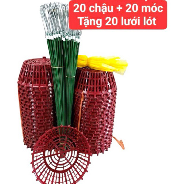 combo 20 chậu nan phụ F24-20 moc 70-20 lưới lót chậu