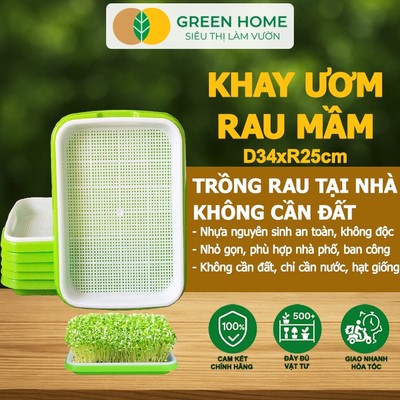Khay Trồng Rau GreenHome, D34xR25xC5cm, Nhựa Nguyên Sinh, An Toàn, Chuyên Trồng Giá, Rau Mầm Tại Nhà