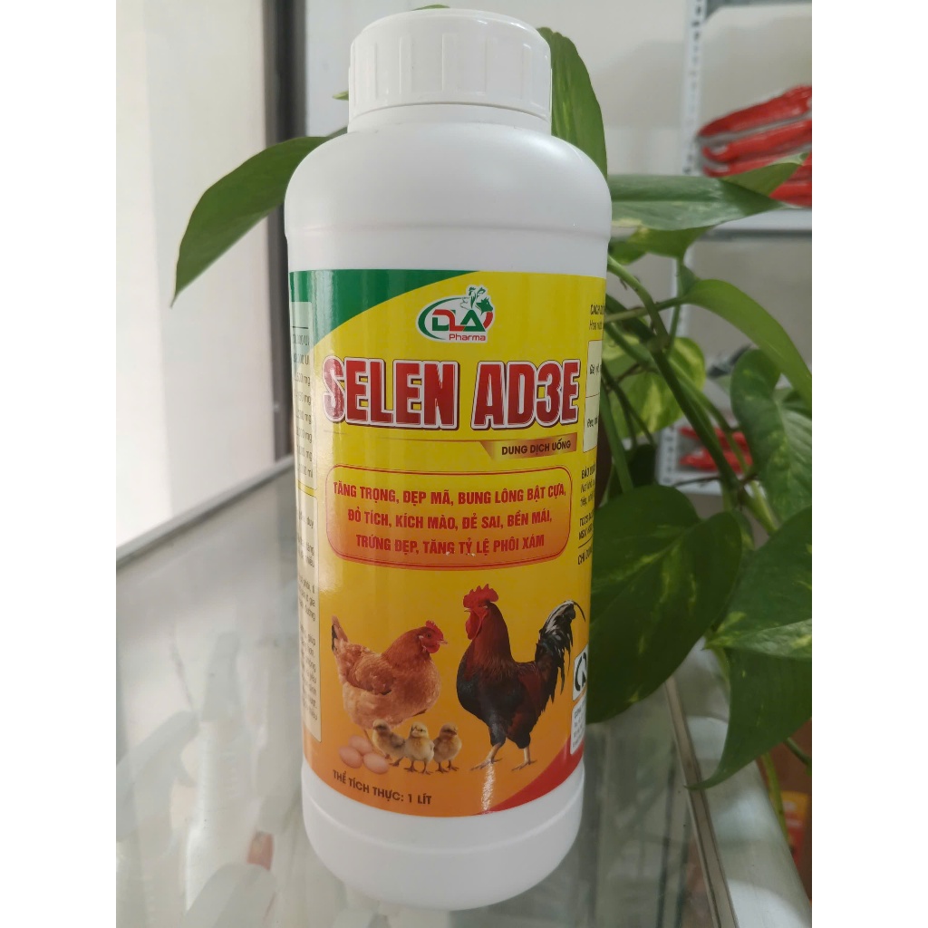 Tăng trọng, đẹp mã, đẻ sai, đẹp mai - SELEN AD3E cao cấp 1 lit