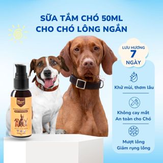 Sữa tắm cho Chó lông ngắn Làm sạch lông, ngừa ve ghẻ, lưu mùi thơm trên 7 ngày 50ml MasterCare