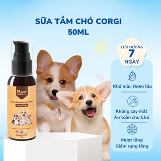 Sữa tắm Chó Corgi MasterCare 50ml - Thơm lâu, khử mùi hôi, mượt lông, không cay mắt