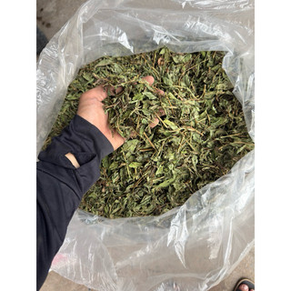 Cỏ ngọt khô 1kg ( hàng phơi tư nhiên, sạch đẹp ) LOẠI 1
