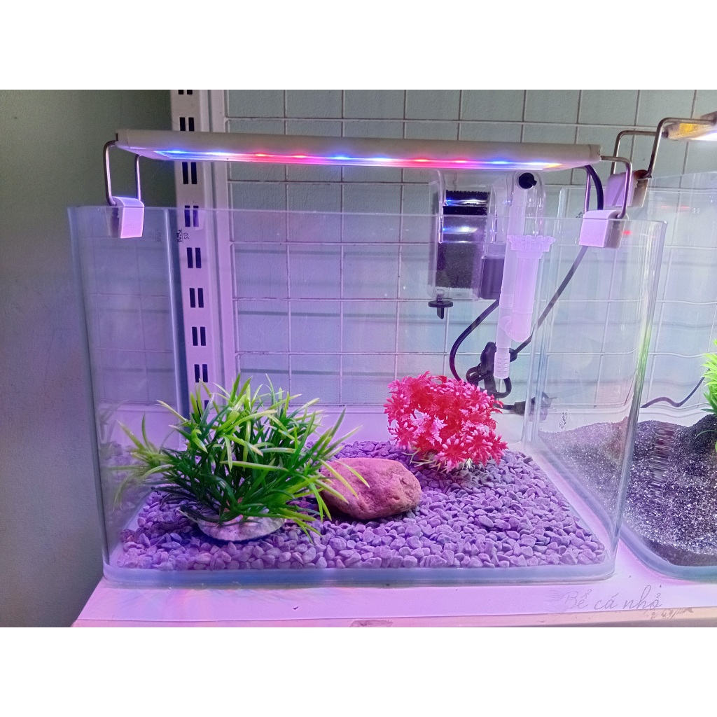 Combo Bể cá đúc 30x18x20 mini để bàn