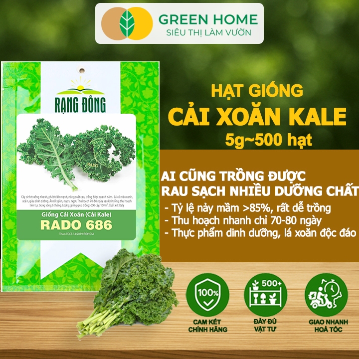 Hạt Giống Cải Xoăn Kale GreenHome, Gói 5g~500 hạt, Dễ Trồng, Nảy Mầm, Thu Hoạch, Năng Suất Cao R16