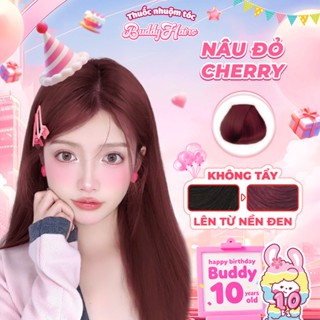 Thuốc nhuộm tóc màu NÂU ĐỎ CHERRY, STRAWBERRY thuốc nhuộm tóc không cần tẩy, kem nhuộm tóc tại nhà Buddyhairs tặng kèm