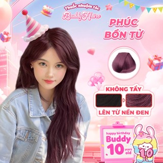 Thuốc nhuộm tóc màu PHÚC BỒN TỬ, ĐỎ ÁNH TÍM thuốc nhuộm tóc không cần tẩy, kem nhuộm tóc tại nhà Buddyhairs tặng kèm
