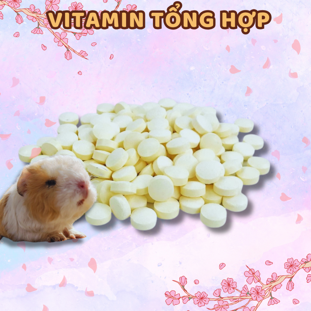 Viên vitamin C vị đu đủ cho Hamster Bọ Ú (Chuột Lang) Thỏ Cảnh giúp đẹp lông và hỗ trợ tiêu hóa