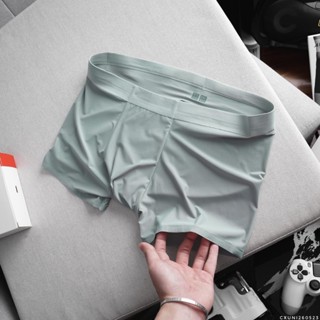 quần lót nam, sịp đúc nam cao cấp không đường may công nghệ nhật vải thun lụa băng Pulslim