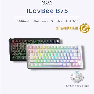 [Sẵn Hàng] Bàn phím cơ ilovbee B75 | B75 Pro 3 Mode | Mạch Xuôi | Plate PC