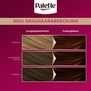 Thuốc nhuộm tóc Poly Palette