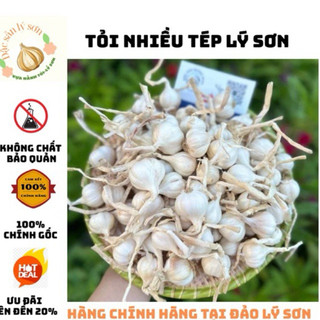 TỎI LÝ SƠN TỎI KHÔ LÝ SƠN BỊCH LƯỚI  1KG - CAM KẾT TỎI CHUẨN LÝ SƠN 100%, TỎI BỊCH LƯỚI