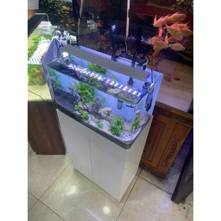   CHỈ GIAO HOẢ TỐC HN   Bể Cá Mini kính siêu trong bể kính đúc cong cạnh nhiều size lựa chọn. - BẢO HÀNH VỠ HỎNG 