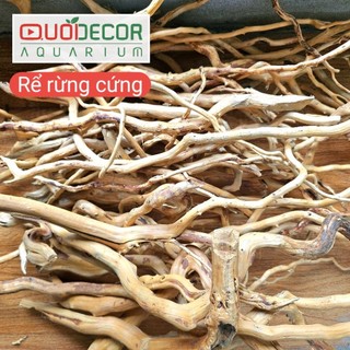 Lũa san đá cành, lũa ống, lũa thạch sùng, săn đá miếng, lũa xương chùm, rể rừng | lũa thủy sinh