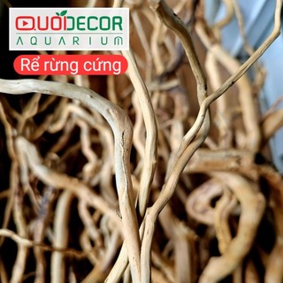 Lũa san đá cành, lũa ống, lũa thạch sùng, săn đá miếng, lũa xương chùm, rể rừng | lũa thủy sinh