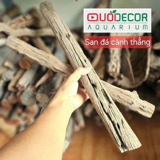 Lũa san đá cành, lũa ống, lũa thạch sùng, săn đá miếng, lũa xương chùm, rể rừng | lũa thủy sinh