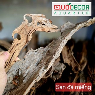 Lũa san đá cành, lũa ống, lũa thạch sùng, săn đá miếng, lũa xương chùm, rể rừng | lũa thủy sinh