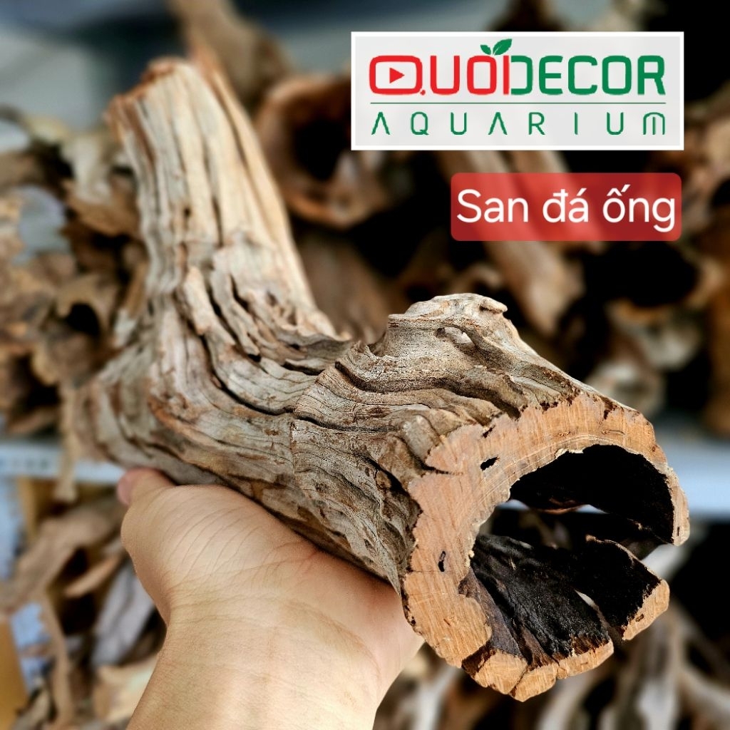 Lũa san đá cành, lũa ống, lũa thạch sùng, săn đá miếng, lũa xương chùm, rể rừng | lũa thủy sinh