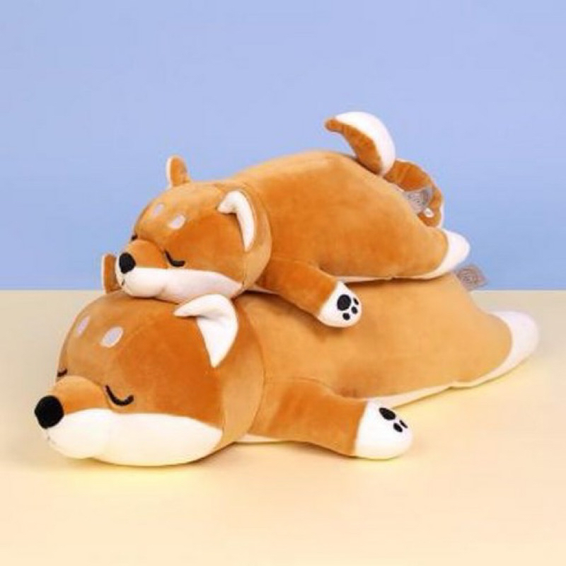 Shiba inu miniso