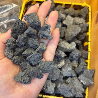 Đá Đen Gia Lai Mini - Đá set up bể thủy sinh - Tép xinh aqua