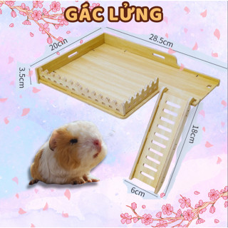  Tầng gác lửng gắn lồng cho Hamster Bọ Ú  Chuột Lang 