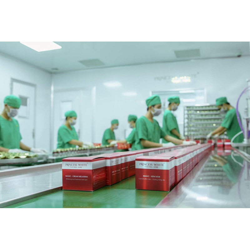 ( Tặng 2 hộp BHa + 10 nạ collagen )  10 HỘP KEM NÁM PRINCESS WHITE