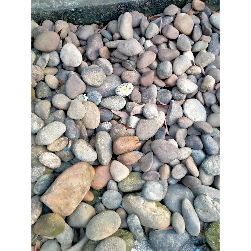 Sỏi decor các loại - trang trí- sỏi biển - ngẫu nhiên: Shope lúc 2h sáng