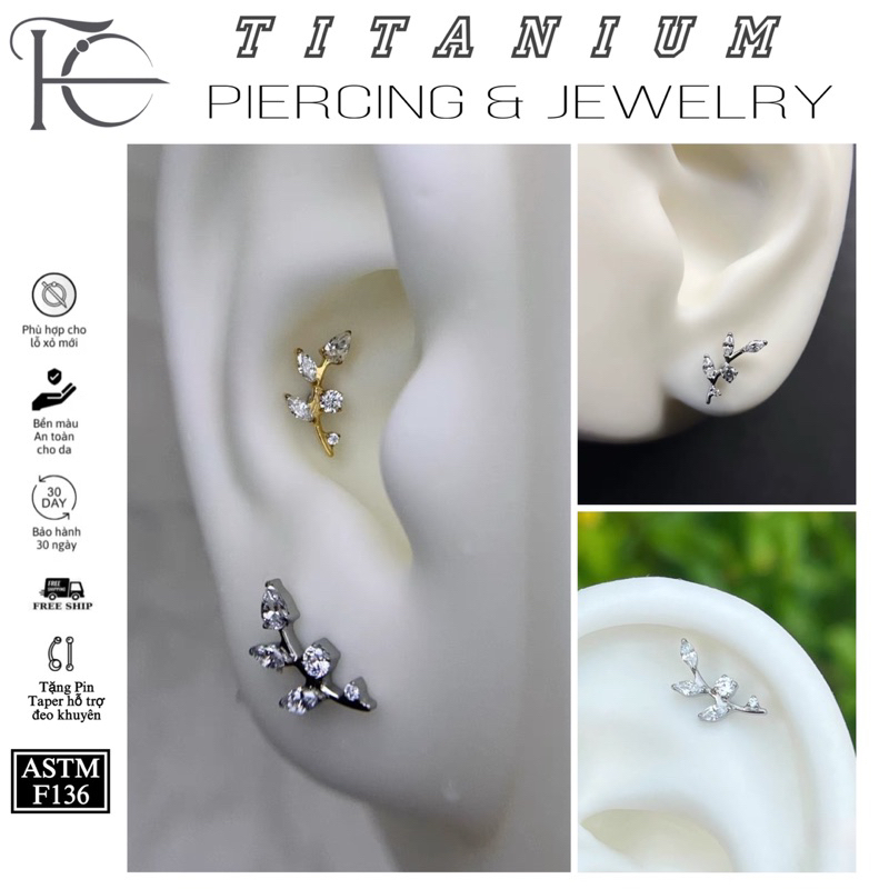 Khuyên Titanium F136 Vành Tai Hình Lá Fancy