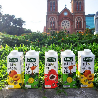 [MIX VỊ] Trà COZY Tắc Mật Ong/Đào Sả/Vị Vải Thùng 24 Hộp x 225ML