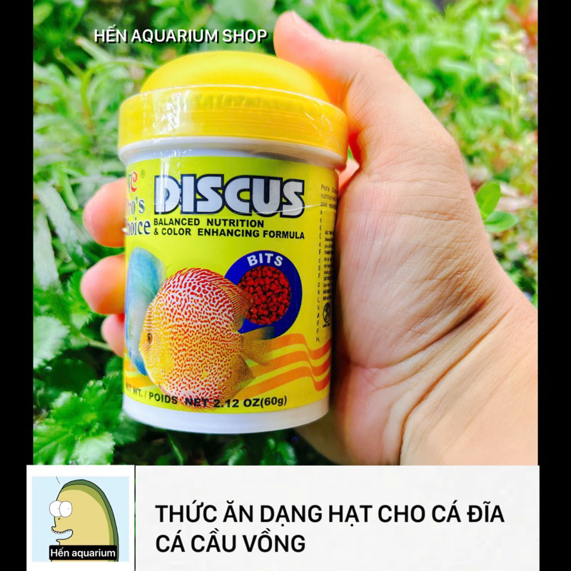Thức ăn dạng hạt chuyên cho cá đĩa : Discus bits prochoice