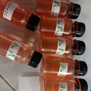 50ml Sữa tắm cho bọ ú (chuột lang) mùi cherry