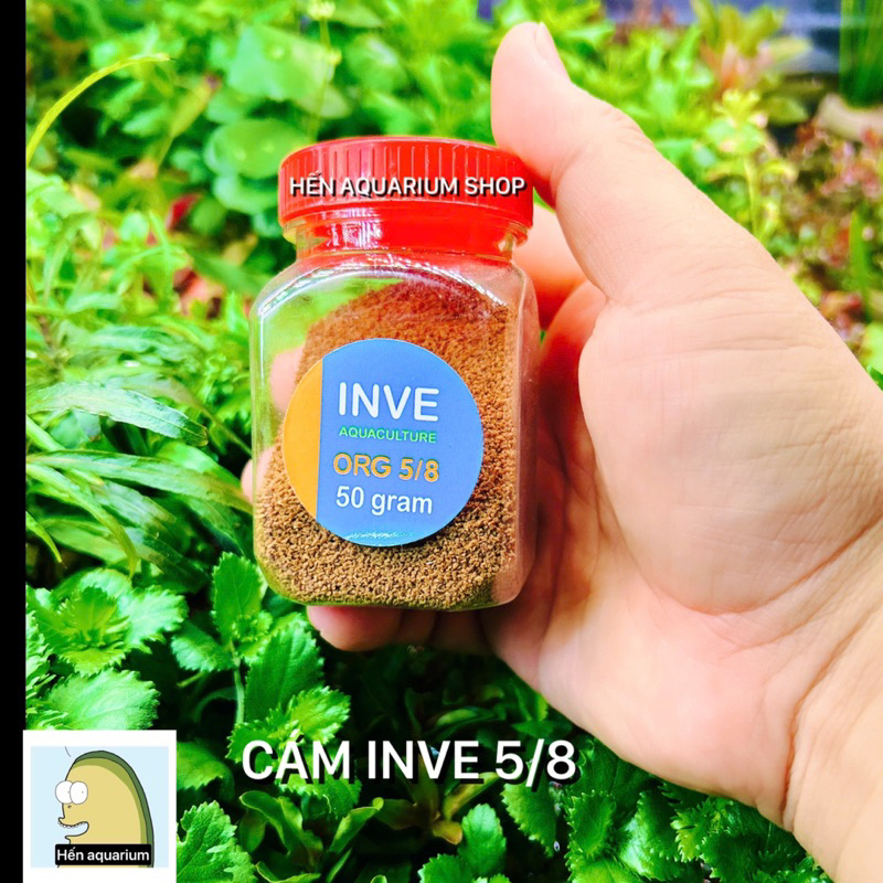 Thức ăn cá cao cấp thái lan : Inve 2/4 -3/5- 5/8 - g12-g8