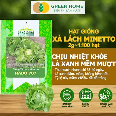 Hạt Giống Xà Lách Minetto GreenHome, Gói 2gr~1100 hạt, Dễ Trồng Quanh Năm, Năng Suất Cao R19