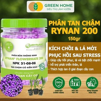 Phân Tan Chậm GreenHome, Rynan 200, Hũ 150gr, Dành Cho PHONG LAN CON, Bonsai Kích Chồi, Dưỡng Chất