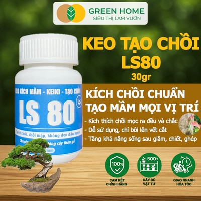 Keo Tạo Chồi LS80, Greenhome, Hũ 30gr, Tạo Mầm Tại Vị Trí Bất Kỳ, Không Suy Cây, Đen Chồi