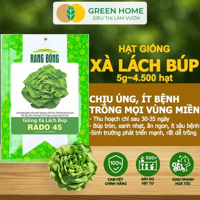 Hạt Giống Xà Lách Búp GreenHome, Gói 5gr~4500 hạt, Dễ Trồng Quanh Năm, Thu Hoạch, Năng Suất Cao R20
