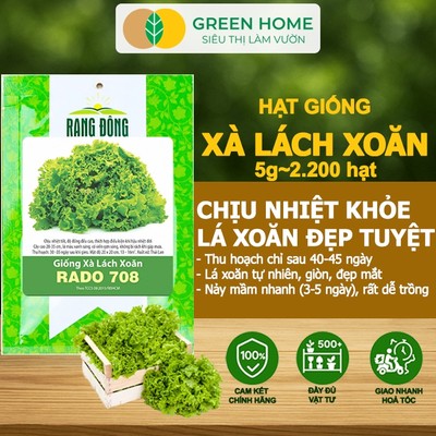 Hạt Giống Xà Lách Xoăn GreenHome, Gói 5gr~2200 hạt, Dễ Trồng Quanh Năm, Thu Hoạch, Năng Suất Cao R21