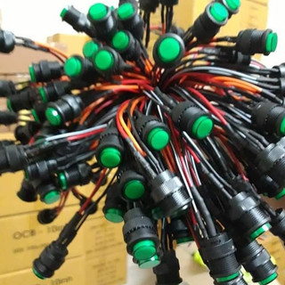 Công Tắc Đèn Báo Máy Lọc Nước RO (Loại 4 Dây)