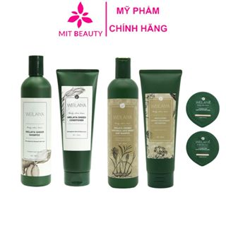 Bộ dầu gội gừng Weilaiya, giảm rụng kích mọc tóc chính hãng